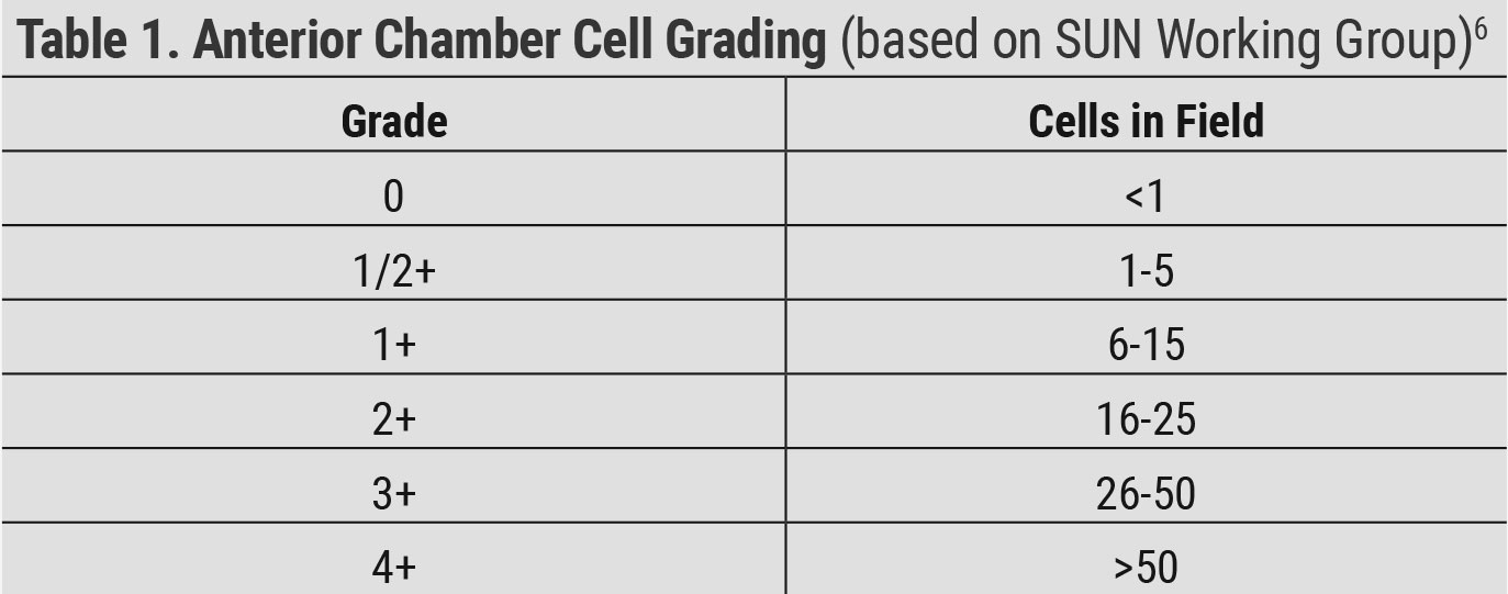Table 1. Anterior Chamber Cell Grading (based on SUN Working Group).