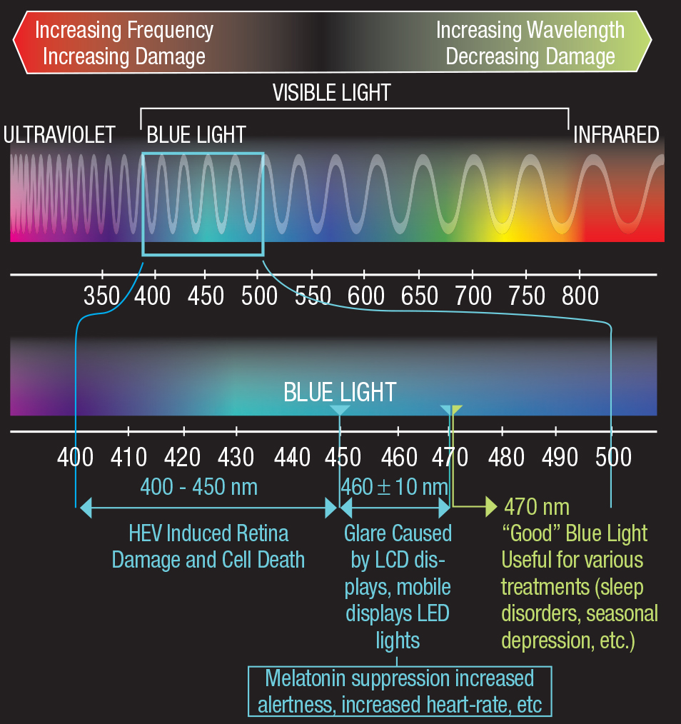 While many consider blue light harmful, it can have some positive effects, particularly HEV wavelengths above 470nm. Image: Adapted with permission from High Performance Optics