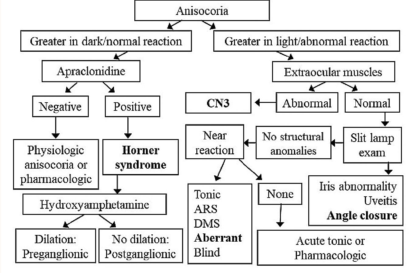 Fig. 3. Flowchart differentiating various causes of anisocoria. The bolded conditions indicate situations that need to be dealt with emergently. CN3: cranial nerve III, ARS: Argyll Robertson syndrome, DMS: dorsal midbrain syndrome