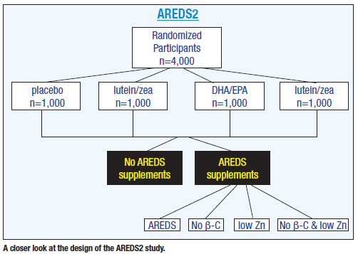 A closer look at the design of the AREDS2 study.